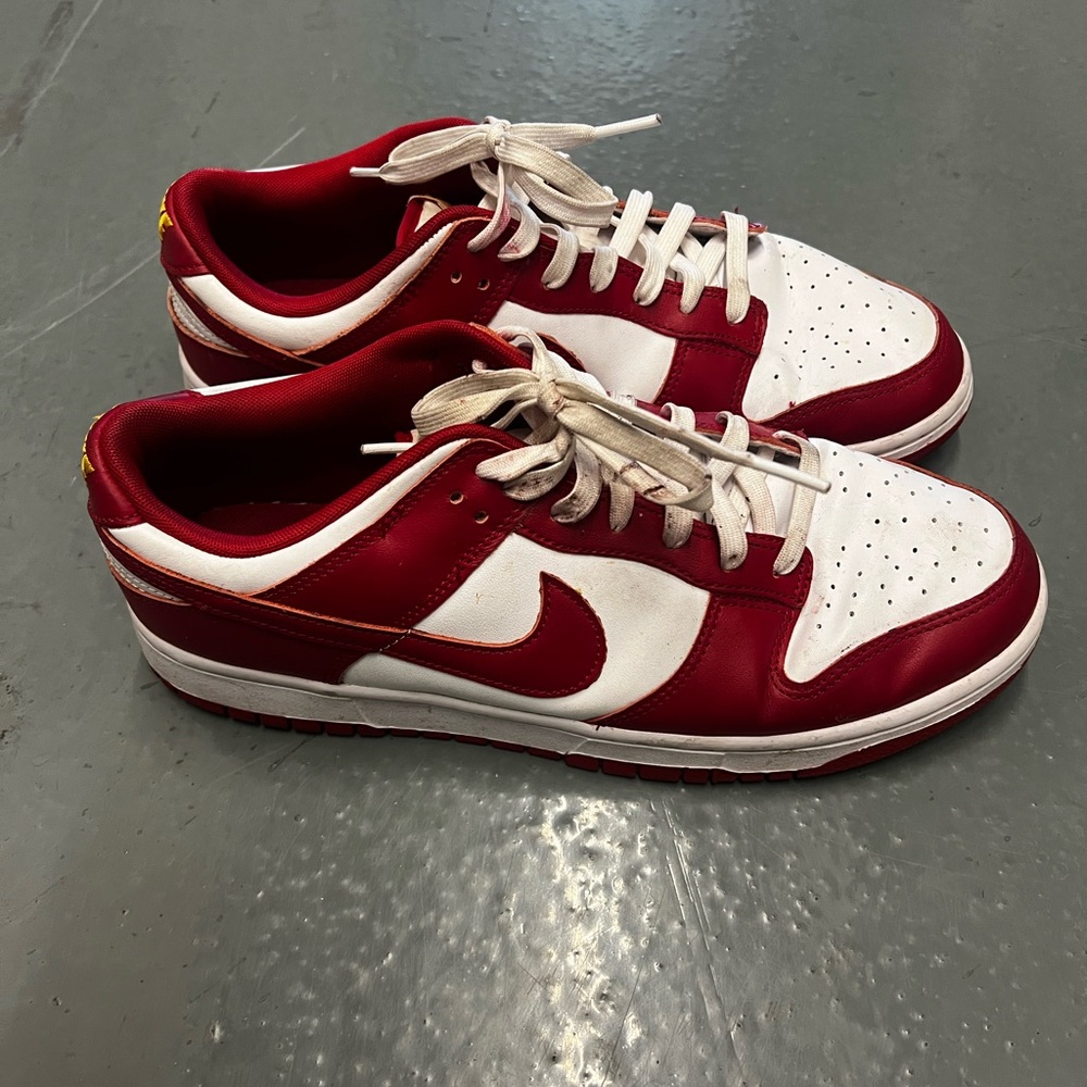 Men’s size 11 Nike Low Dunk Retro